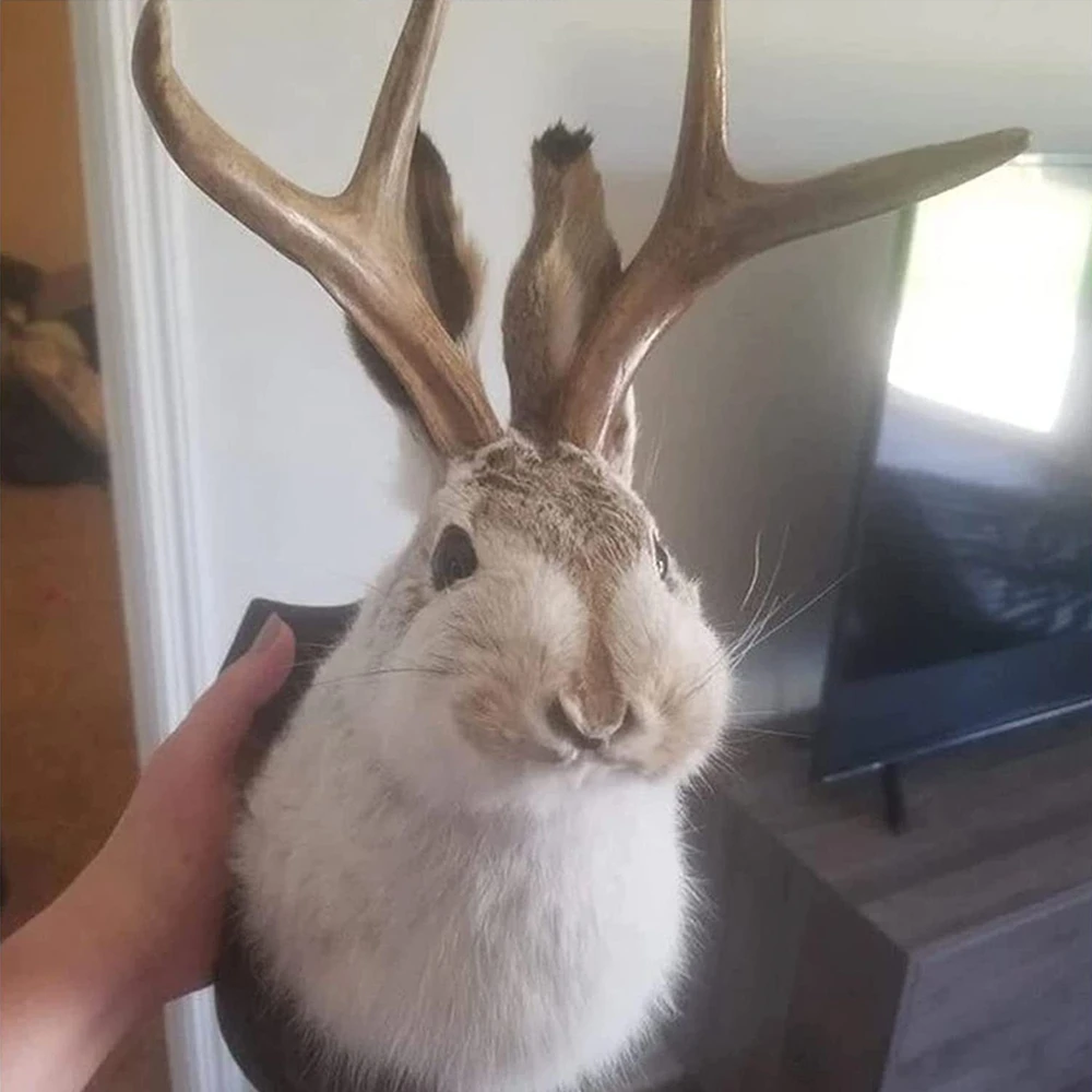 Easter Gift Bunny Head Antlers Wall Hanging Decoration Wall Decor Simulation Rabbit Specimen Resin Art Ornaments Jackalope Decor - Image 2